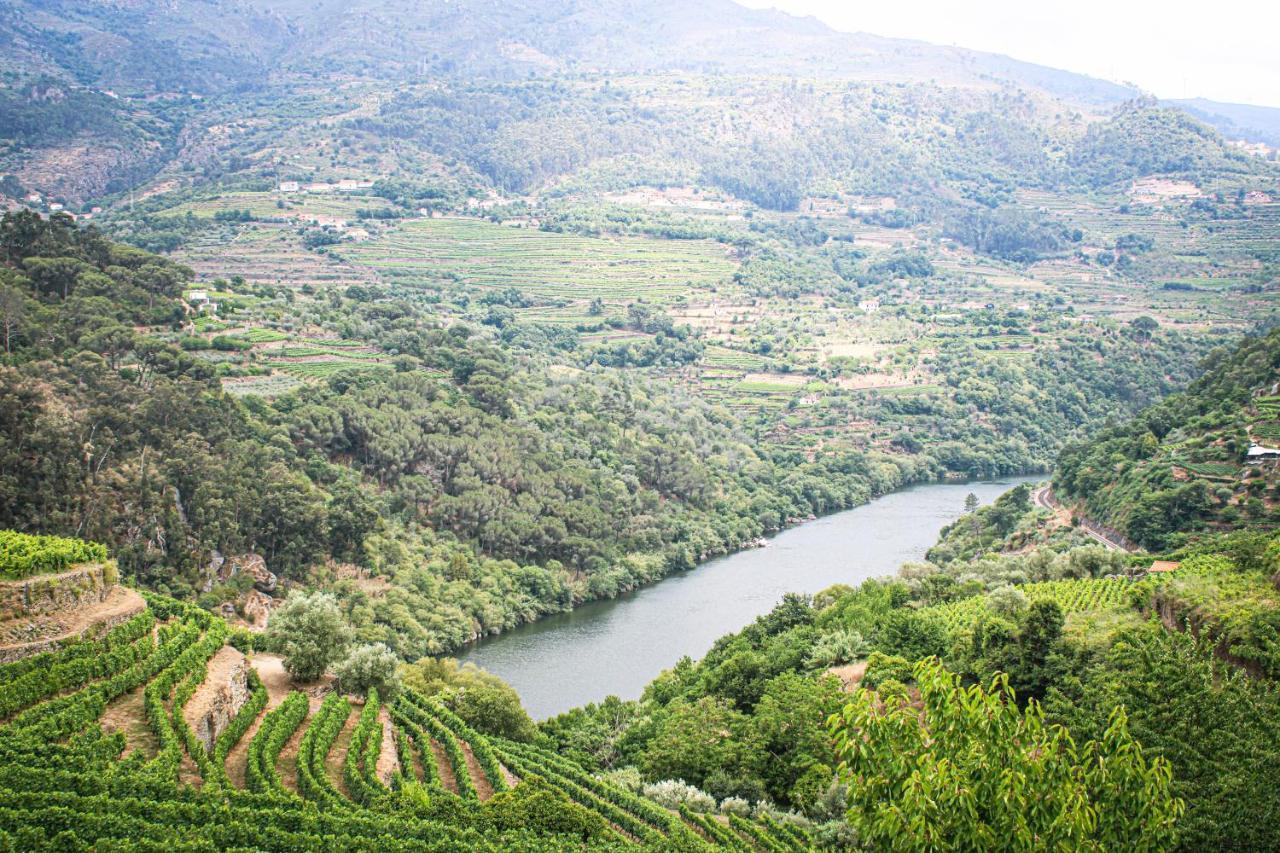 Casa Avos D'ouro - Barqueiros, Mesao Frio, Douro * Mesao Frio